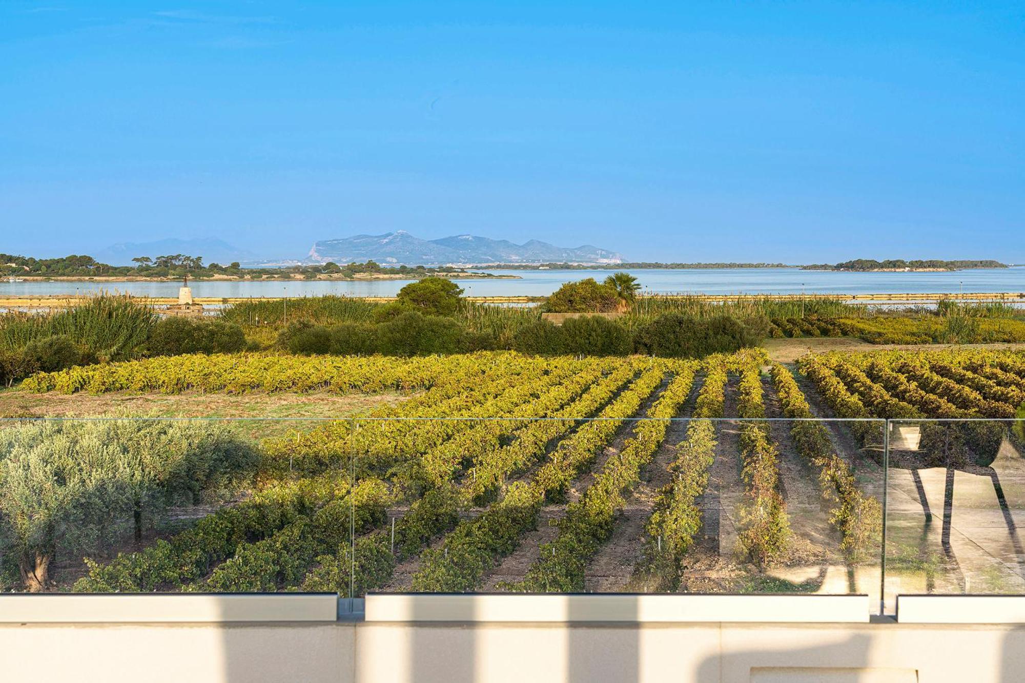 Martina'S Vineyard - Villa Marsala Eksteriør bilde